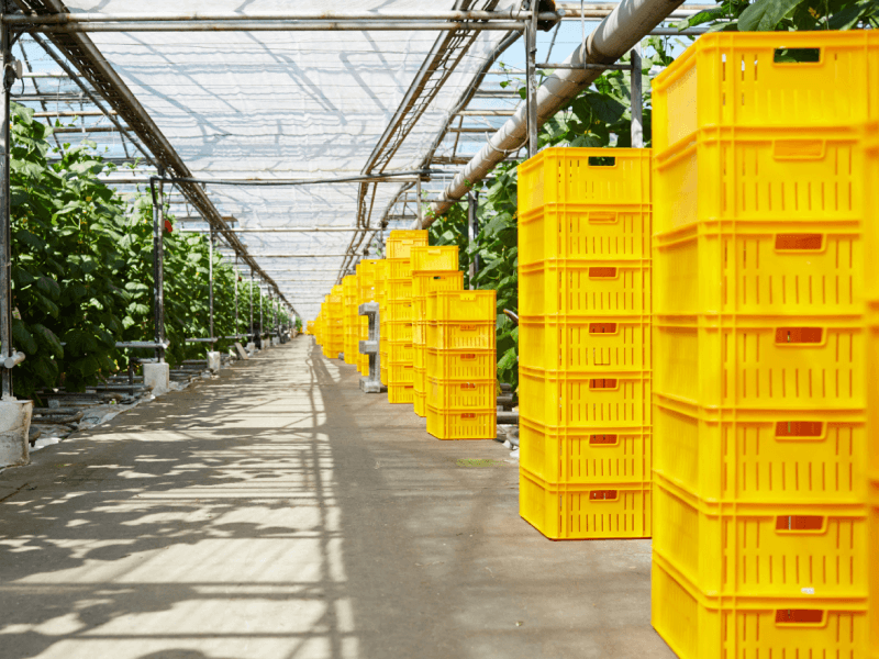 Plastic Storage Crates