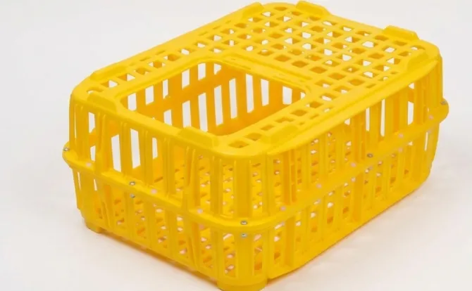chickencage